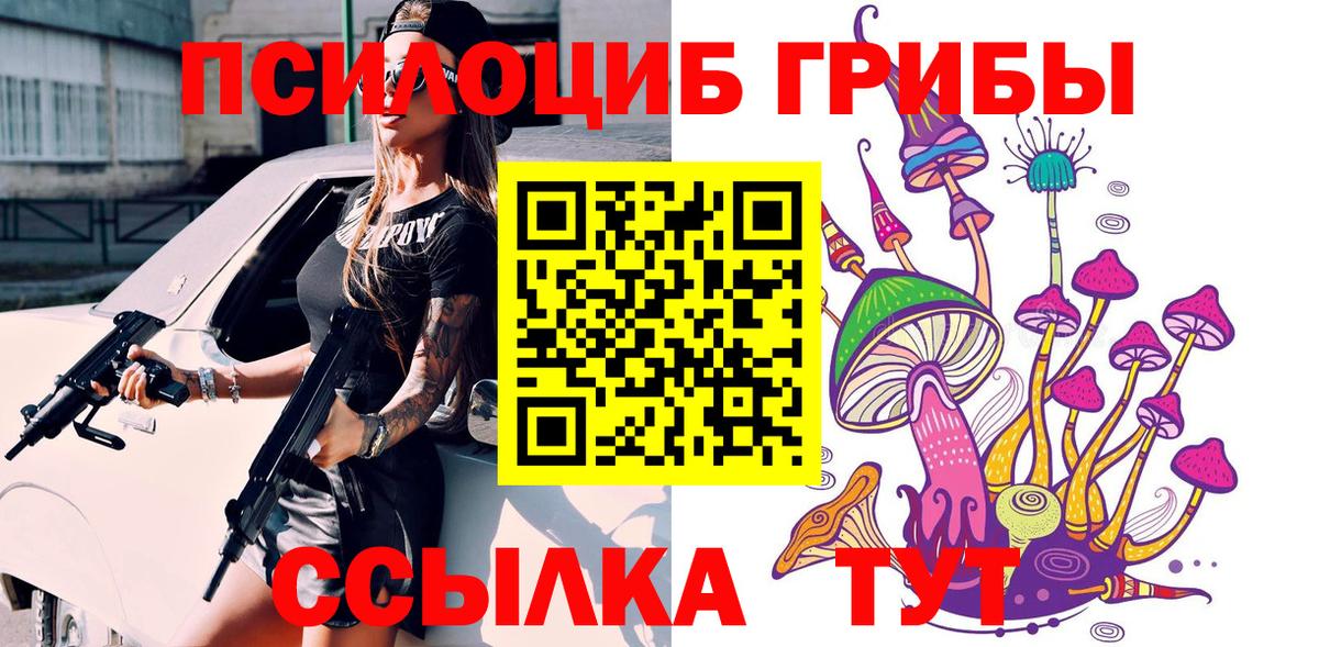 Псилоцибиновые грибы Psilocybe Геленджик