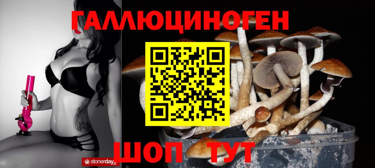 Геленджик  Галлюциногенные грибы мухоморы  Вход с VPN 