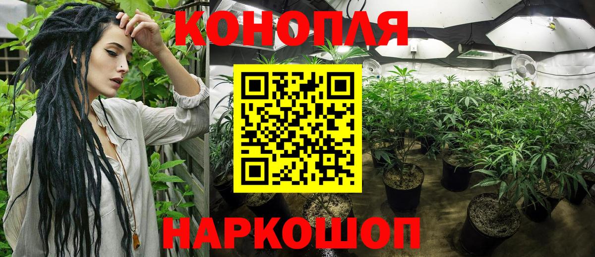 Геленджик  Канабис SATIVA & INDICA  Конопля OG Kush  Вход с VPN 